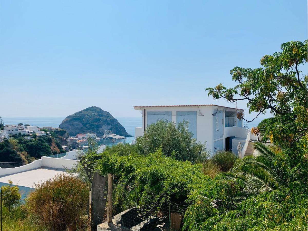 Pensione Casa Verde Sant'Angelo  Exteriér fotografie